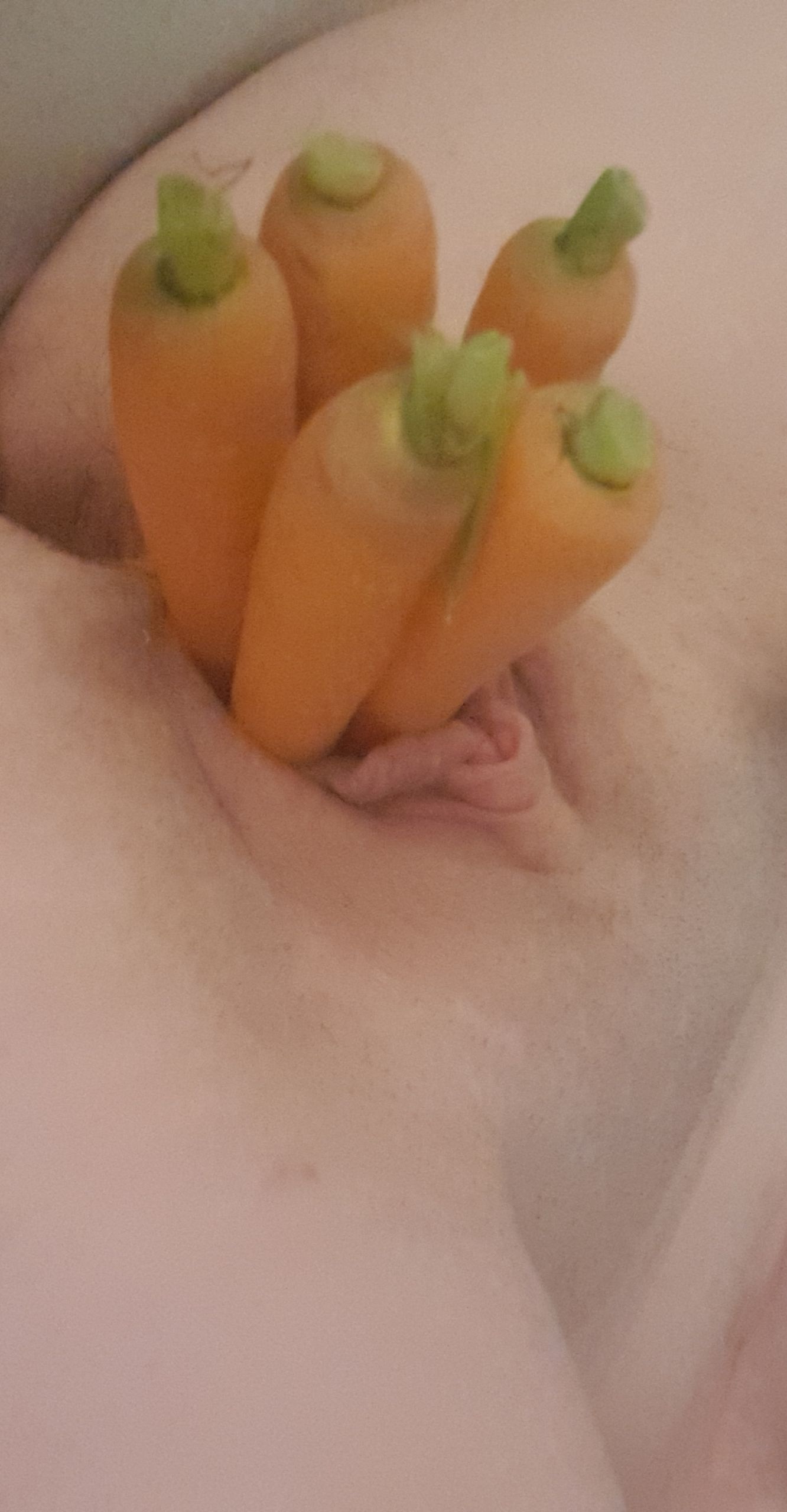 Carrot Fuck