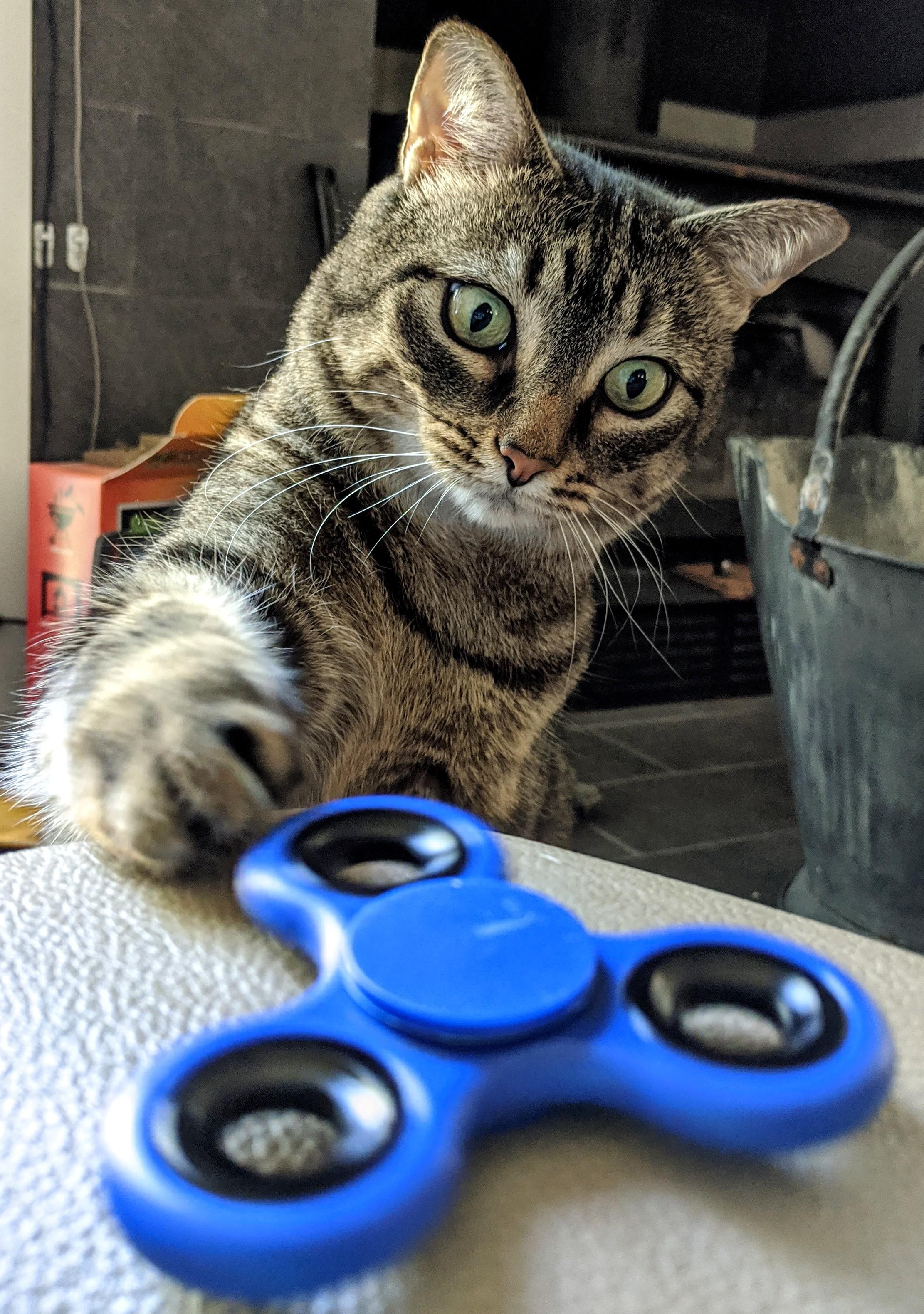 Izzy and the Curious Case of the Fidget Spinner | Scrolller