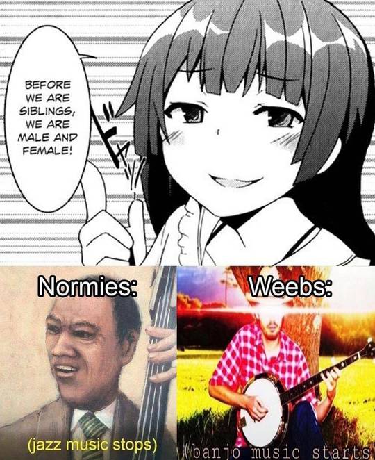 Sweet home Alabama meme  Anime Memes